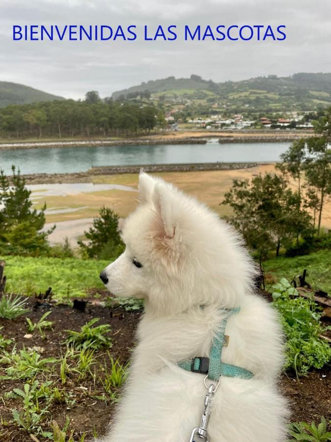 Playa Del Puntal Villaviciosa Asturias Lujo Primera Linea Playa 외부 사진